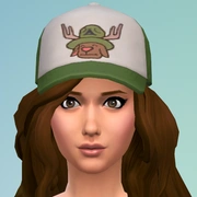 Запись: The Sims 4: Подборка фактов об игровом наборе «В поход!»