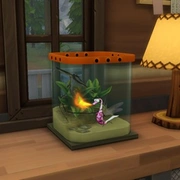 Запись: Официальный блог: Руководство по коллекционированию насекомых в Гранит Фоллз