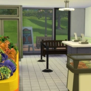 Запись: Мод: Продуктовый магазин для The Sims 4