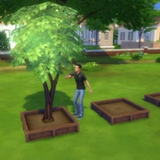 Запись: Гайд по весенним испытаниям в The Sims 4