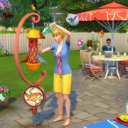 Запись: Веселитесь от души с «The Sims 4 На заднем дворе — Каталог»!