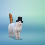 Запись: Новые скриншоты режима создания питомцев из «The Sims 4: Кошки и собаки»