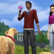 Запись: Новая информация о «The Sims 4: Кошки и собаки» из трансляции от 13.10.2017