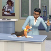 Запись: Откройте собственную ветеринарную клинику!