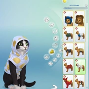 Запись: Игровой процесс создания питомца в «The Sims 4: Кошки и собаки»