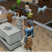 Запись: Обзор трансляции «The Sims 4: Кошки и собаки» о ветеринарной клинике