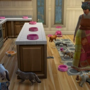 Запись: Как добавить в семью больше 8 симов/питомцев