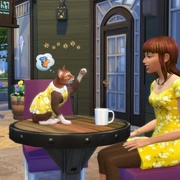 Запись: Факты о каталоге «The Sims 4: Мой первый питомец»