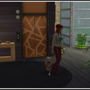 Запись: Мод: функционирующие лифты для The Sims 4