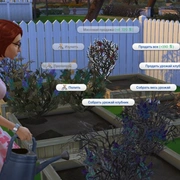 Запись: Обновление 1.44.77 от 19.06.2018