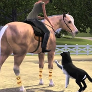 Запись: Слух: «Сельская жизнь» — следующее дополнение для The Sims 4