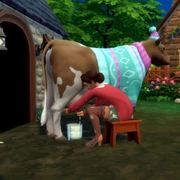 Запись: Трейлер игрового процесса «The Sims 4 Загородная жизнь»