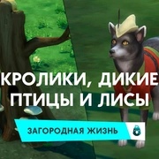 Запись: Кролики, дикие птицы и лисы в «The Sims 4 Загородная жизнь»
