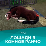 Запись: Лошади в «The Sims 4: Конное ранчо»