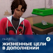 Запись: Жизненные цели в «The Sims 4: Навстречу приключениям»