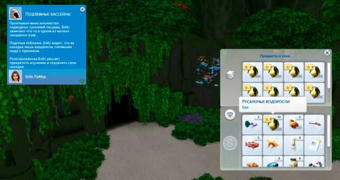 скрытая пещера найденные водоросли