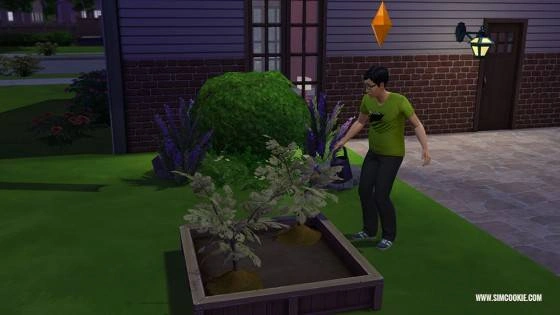 les-sims-4-jardinage