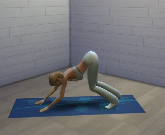 собака смотрит вниз