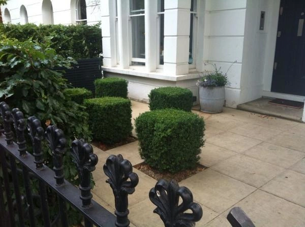 enhanced-13202-1463404202-2