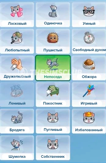 черты характера кошек