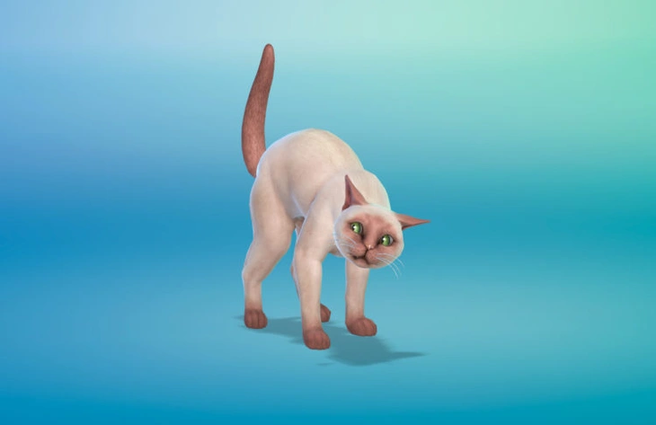 симс 4 питомец постоянно напуган