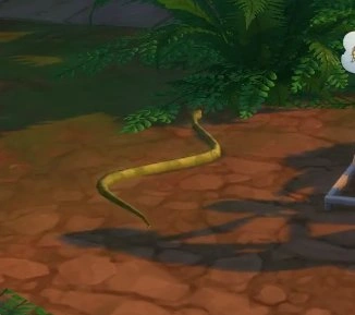 путешествия в джунглях змеи