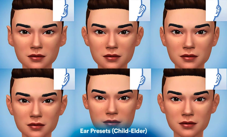6 форм ушей мод