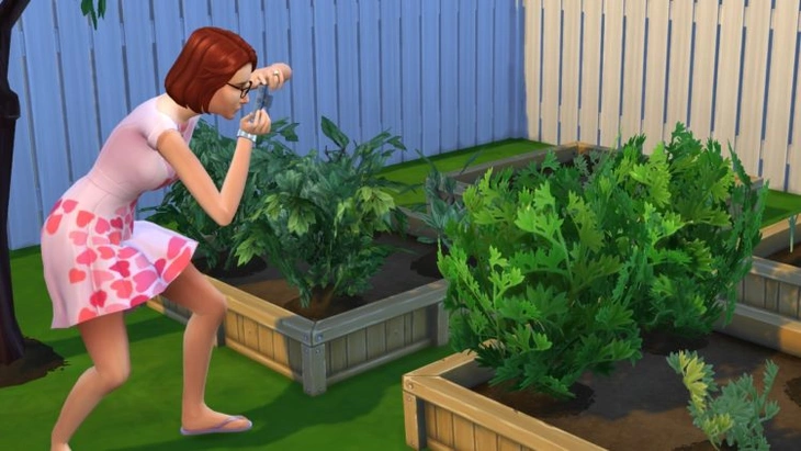 анализ растения