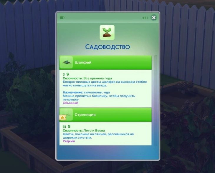 растения в дневнике