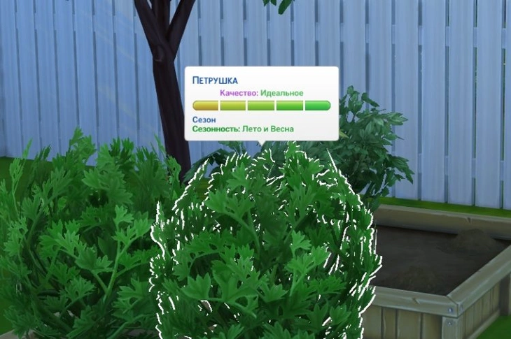 стадии развития растений симс 4