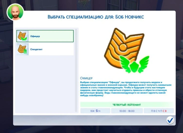 ветка офицер в карьере военного