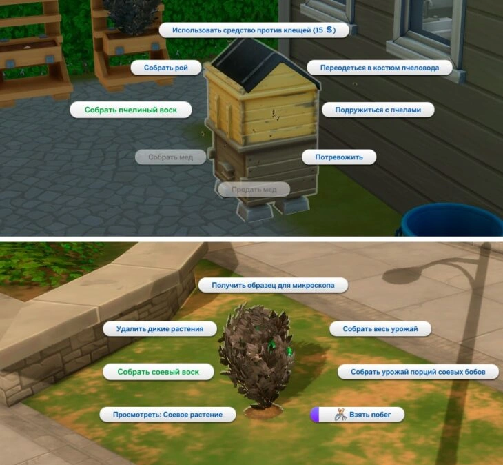 собрать воск с растения или улья
