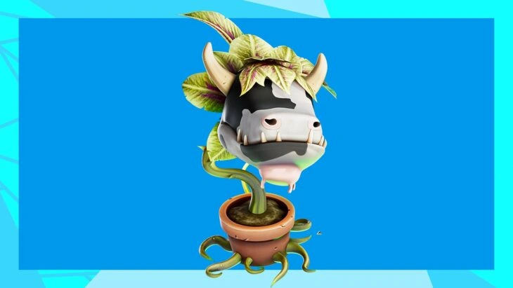 жвачное растение