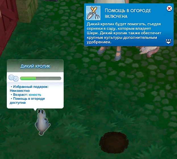 симс 4 загородная жизнь помощь в огороде от кролика