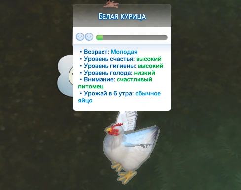 симс 4 загородная жизнь уход за курицей