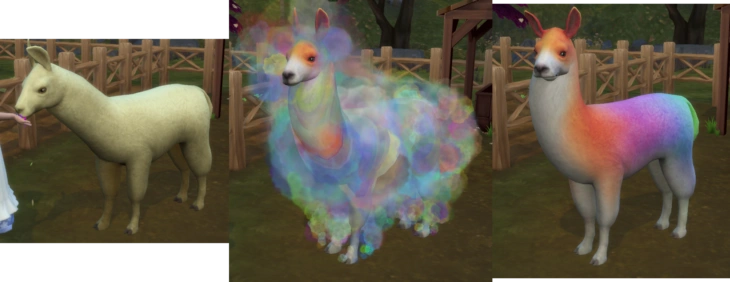 симс 4 загородная жизнь - различные цвета шерсти ламы