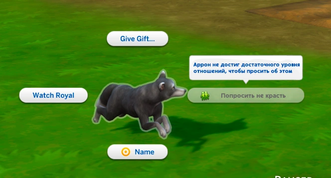 попросить лису не красть яйца