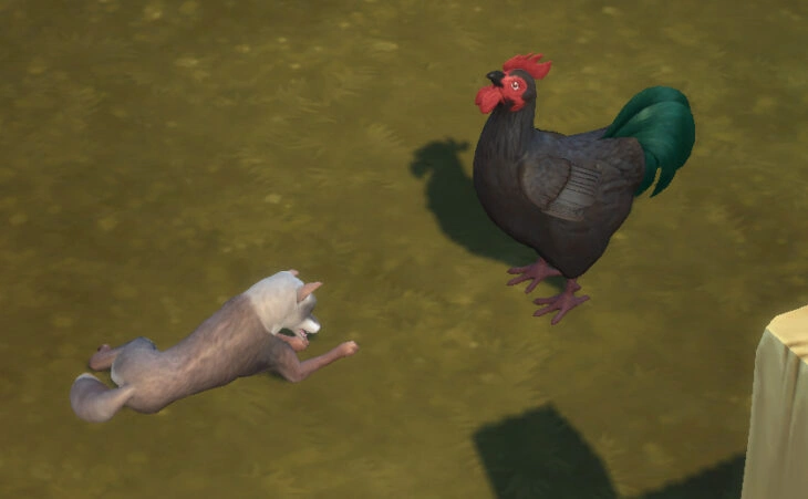 симс 4 загородная жизнь лиса и петух