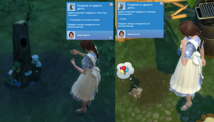 симс 4 подарок от дикого друга