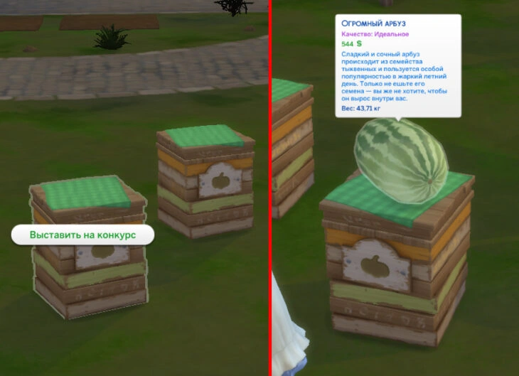 пъедестал для крупных культур на ярмарке