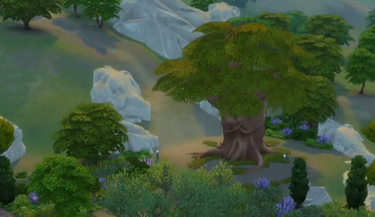 Древо любовников в Тартозе