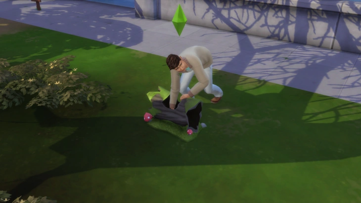 поиск лягушек в бревне