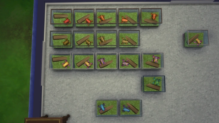 размножение лягушек