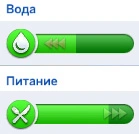 потребление воды при фотосинтезе ростомана