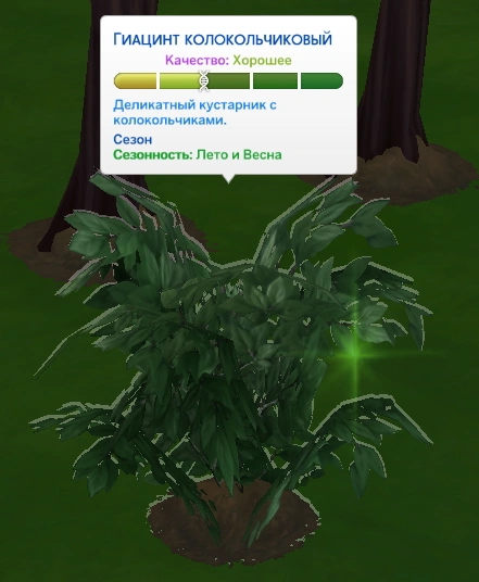 способствовать росту растения и повышение качества растения