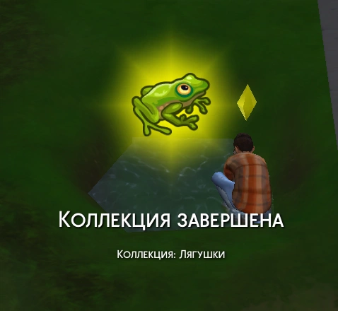 коллекция завершена