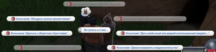 испытания при вступлении в стаю