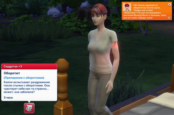 мудлет оборотит